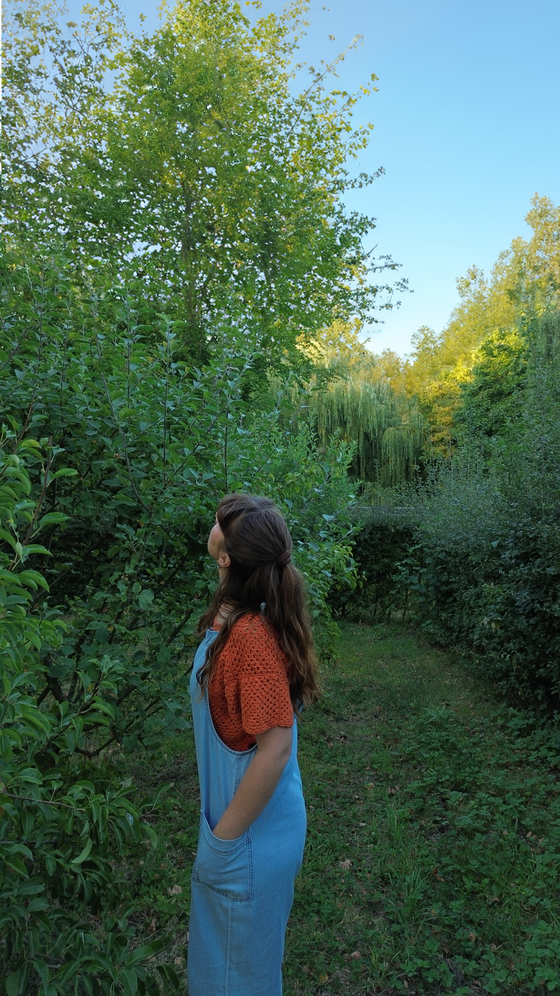 Paysagiste de PAT Atelier observant un arbre dans un jardin, analyse sensible et immersion dans le paysage