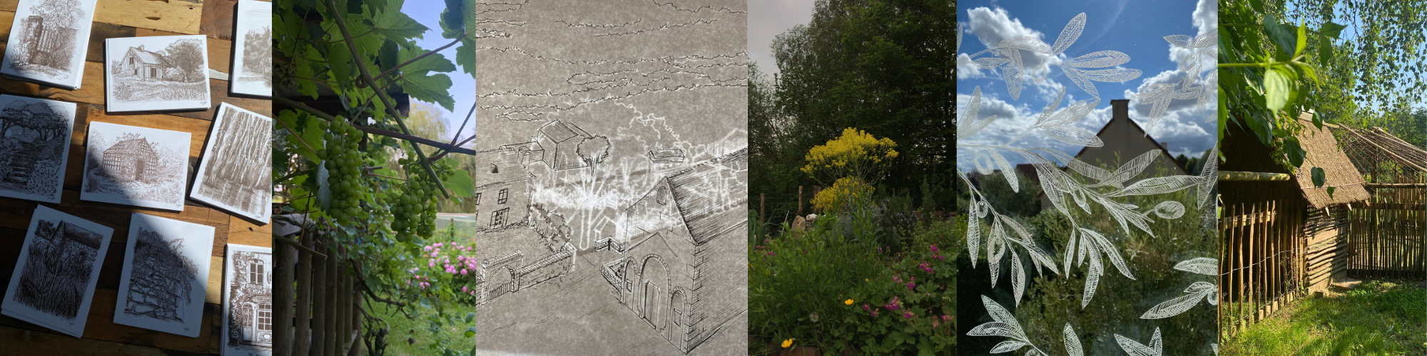 Panorama présentant le travail de PAT Atelier : conception de jardins écologiques, illustration paysagère, axonométrie de projet, créations artistiques et aménagements favorisant la biodiversité